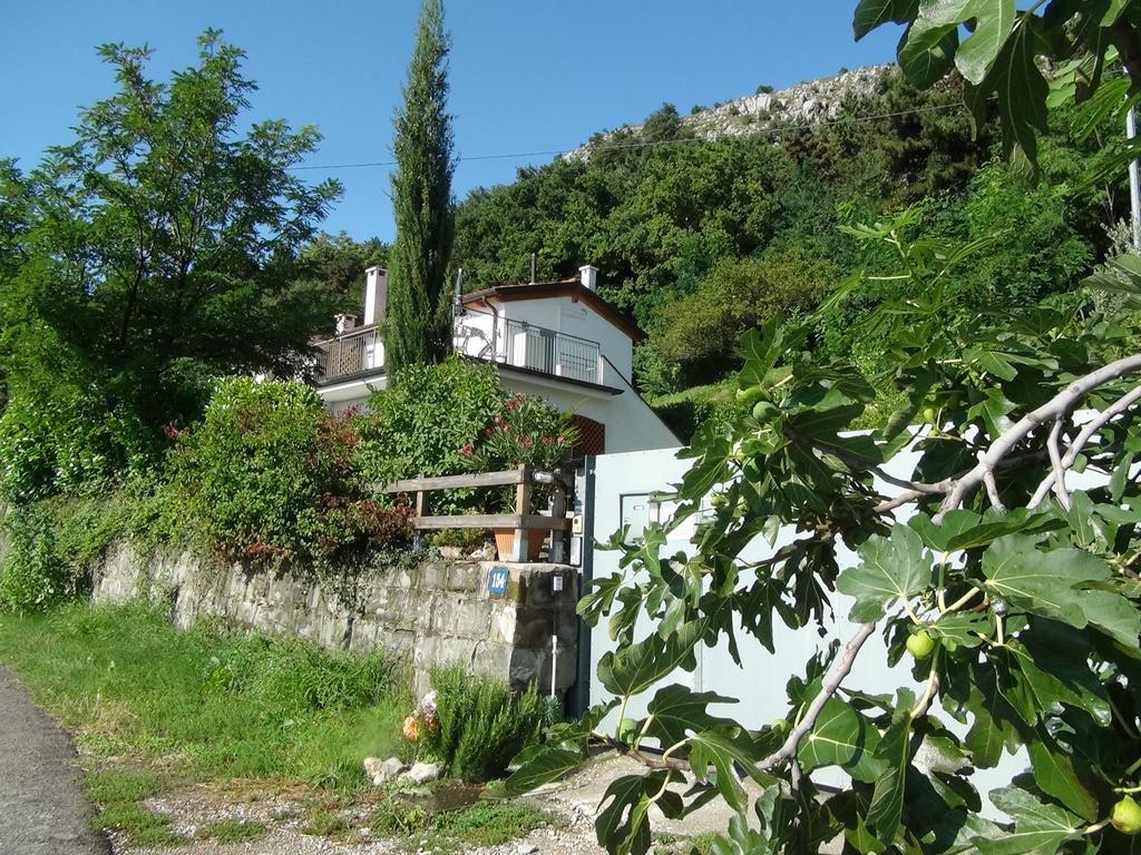 Bellavista Trieste San Dorligo della Valle Екстериор снимка